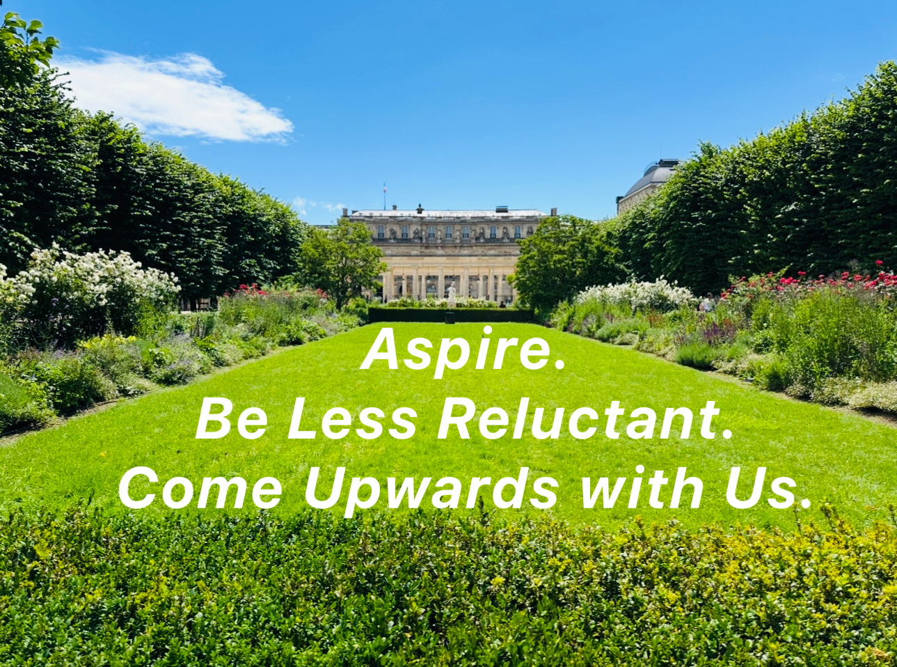 Read more about the article Be Less Reluctant